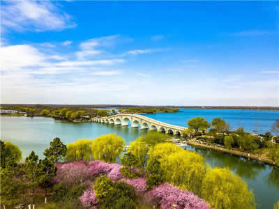 县纪委监委主要领导到石湖乡督导调研