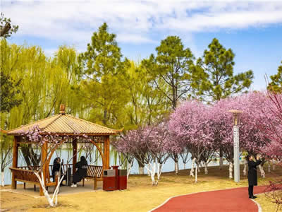 石湖乡困难残疾人(无固定收入重残）生活补贴一折通发放表